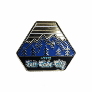 ACEP25 Pin